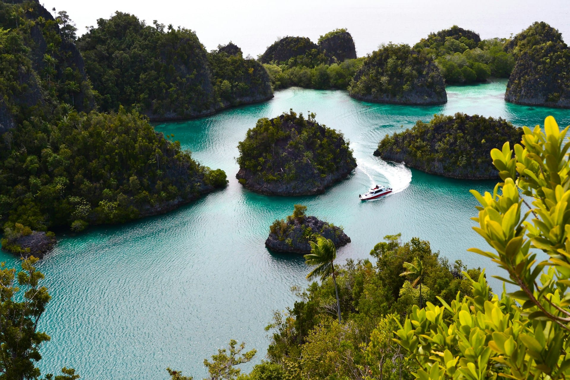 Raja Ampat, known for its stunning landscapes and crystal-clear waters, is a popular tourist destination in Indonesia.