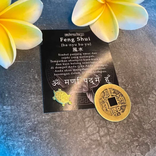 Golden Turtle and Hollow Coin Limited Edition Fengshui Yin Yang Charm
