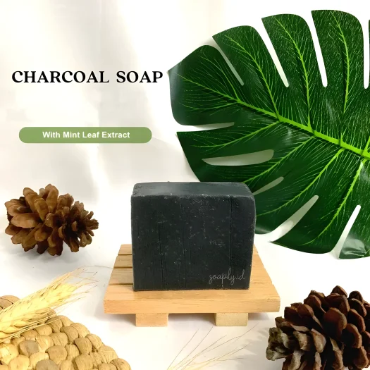 Soapily Charcoal Mint Natural Body Odor Detox Soap