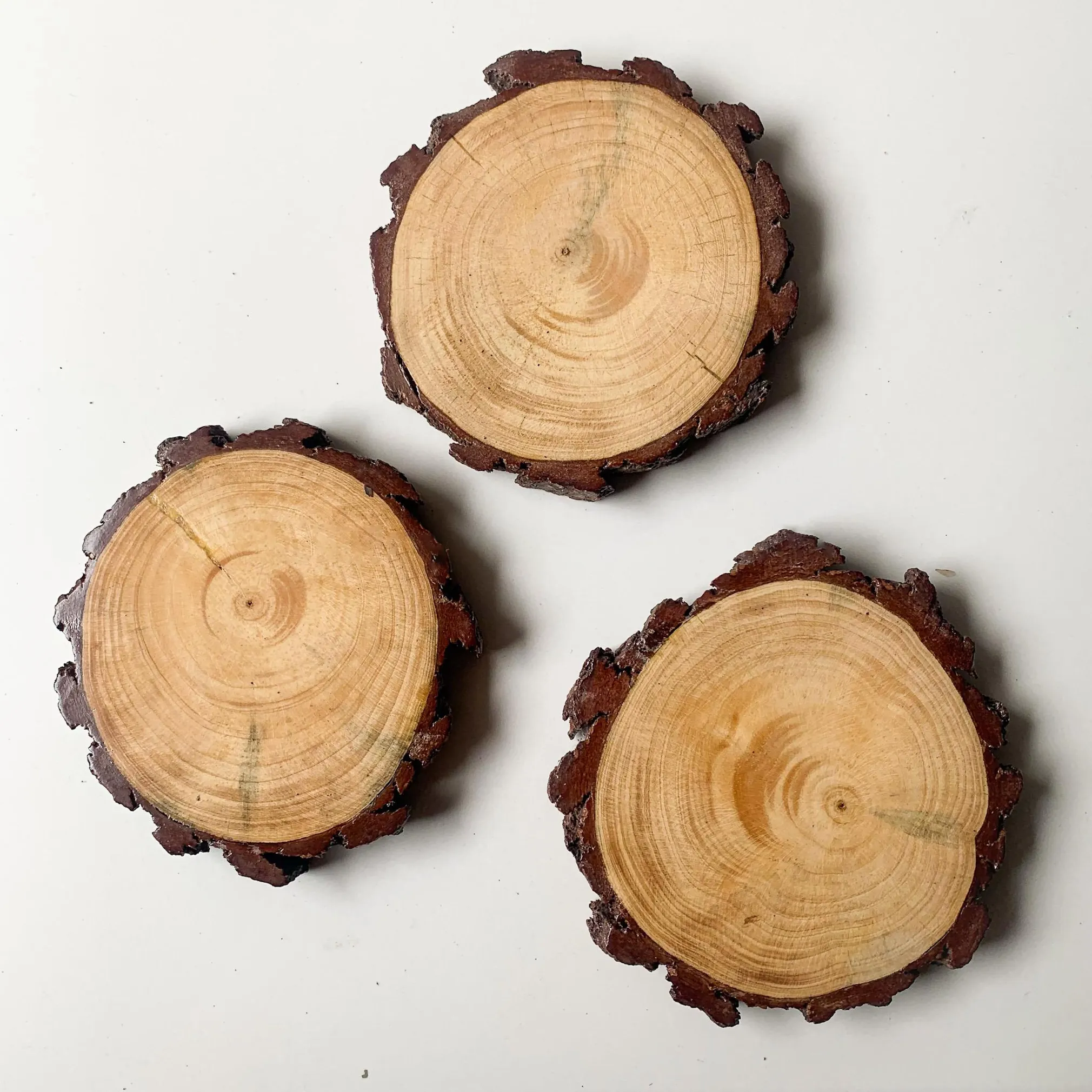Ikikayu Handmade Pine Wood Coaster with Natural Bark Edge