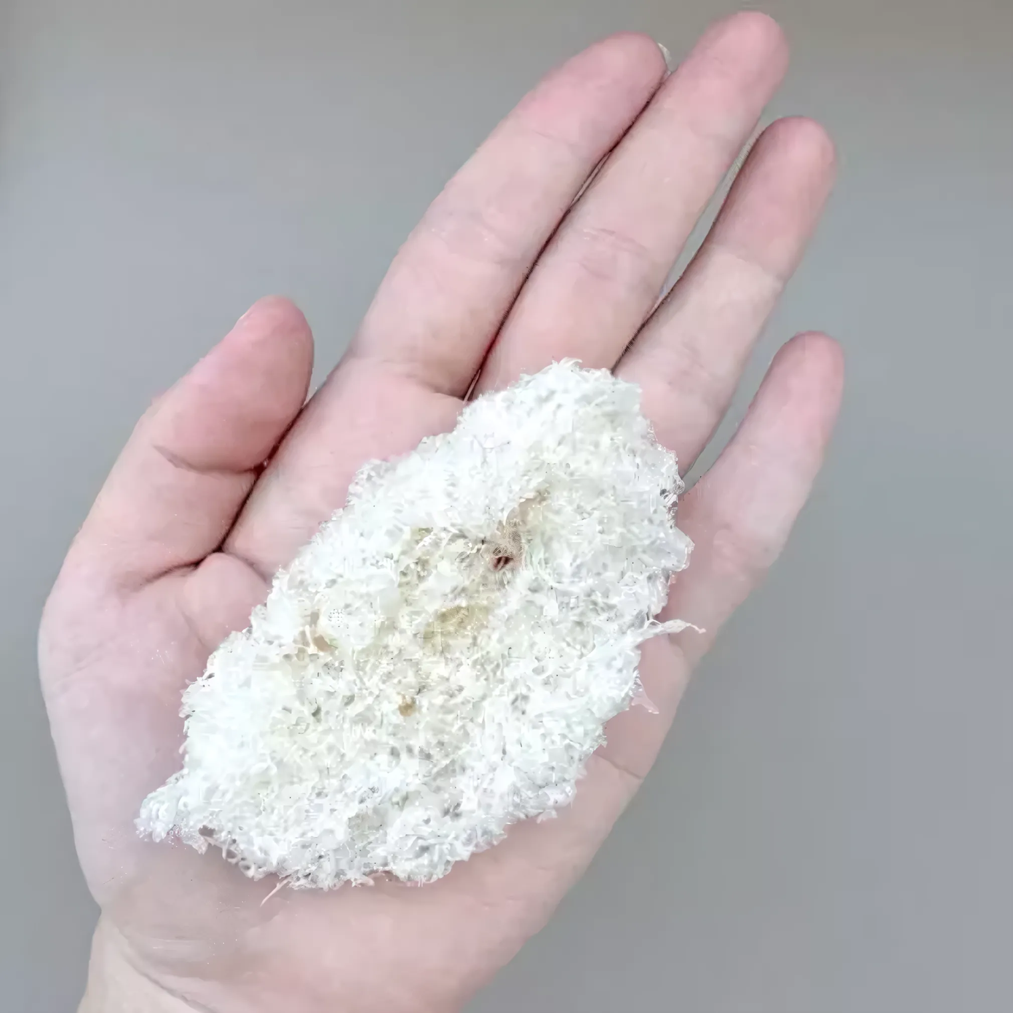 Artha Walet Edible Bird’s Nest – Crushed Type (Hancuran), 15 g | Nusamade Artha Walet Edible Bird’s Nest – Crushed Type (Hancuran), 15 g - Image 3