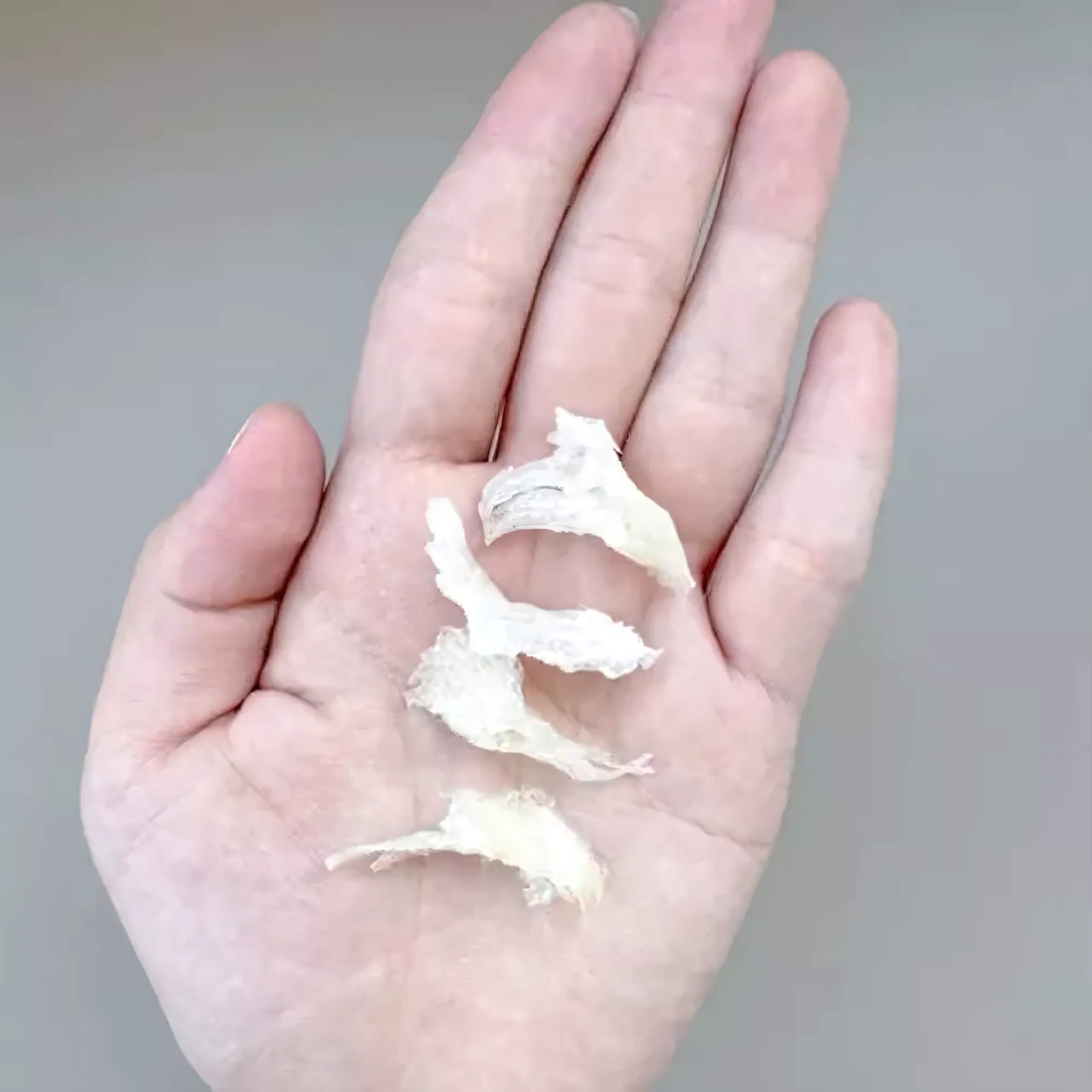 Artha Walet Edible Bird's Nest – Kakian (Small Nest Fragments / Crumbs), 15 g | Nusamade Artha Walet Edible Bird's Nest – Kakian (Small Nest Fragments / Crumbs), 15 g - Image 3